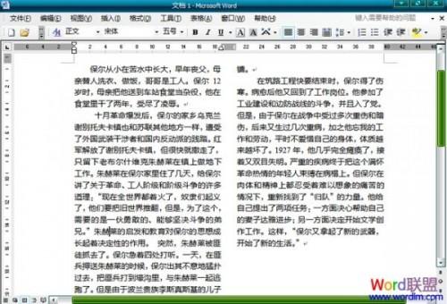 Word2003文档中怎么分栏