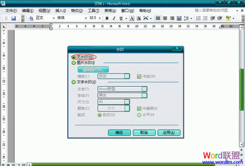 Word2003文档中怎么样去水印