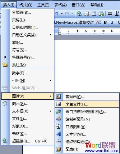 Word2003输入的文字自定义变成相应的图片