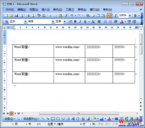 Word2003表格调整行的高度.宽度和间距