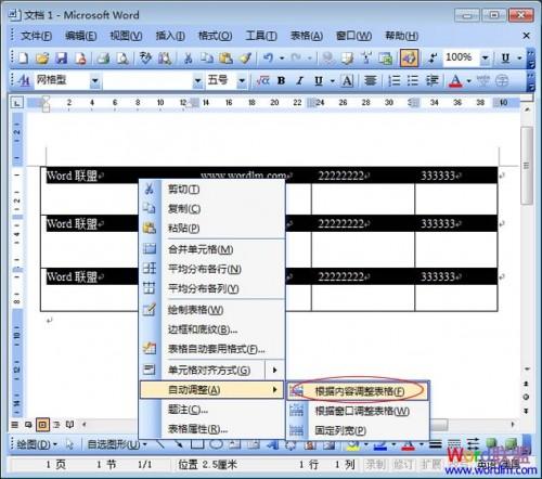 Word2003表格调整行的高度.宽度和间距