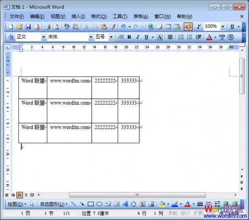 Word2003表格调整行的高度.宽度和间距