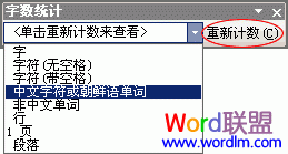 Word2003怎么样统计字数.行数和符号