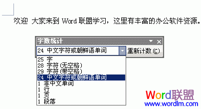 Word2003怎么样统计字数.行数和符号