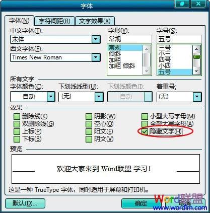 Word隐藏文字 让文档更安全!