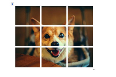 word九宫格图片怎么做?word制作9宫格图片方法