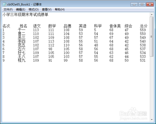 如何将txt文件转换成Excel文件