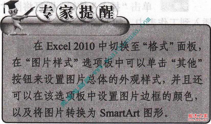 在Excel2010中设置图片属性