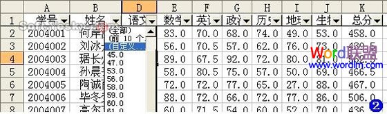 自动筛选