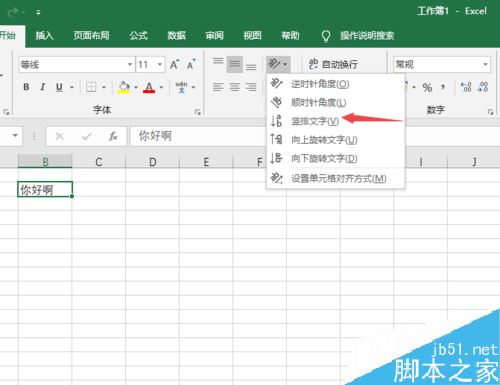 Excel2019怎么竖排显示文字？Excel2019竖排显示文字设置方法